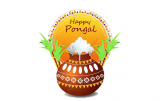 Pongal Rangoli Design