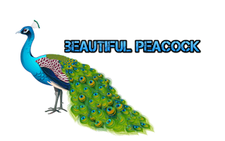 Beautiful Peacock Rangoli Design Images