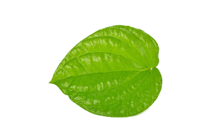 Leaf Rangoli Design Images