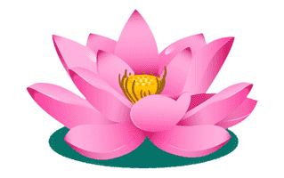 Lotus Rangoli